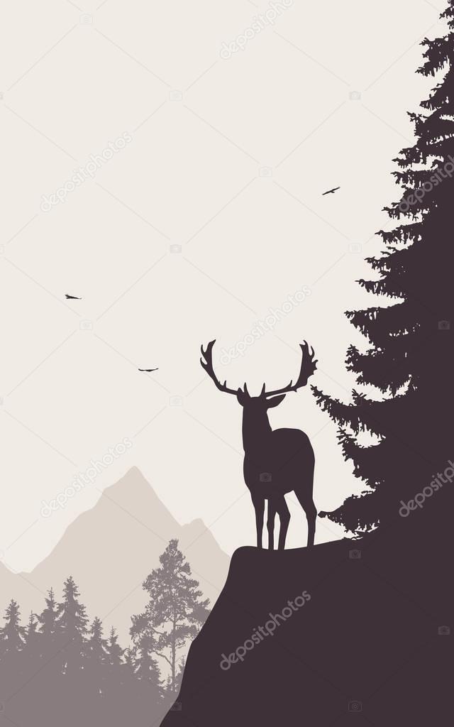 Deer standing on the top of the mountain and looking into the valley