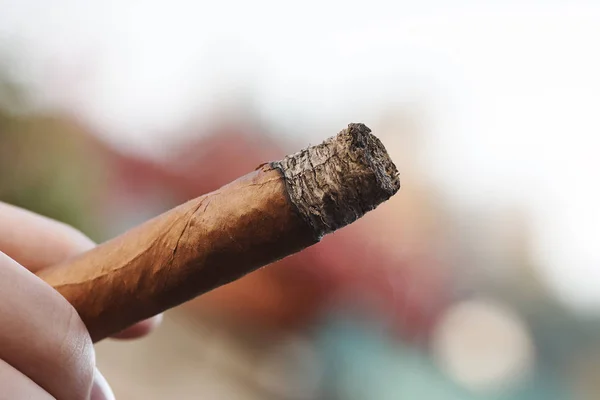 Una mano sosteniendo un cigarro cubano en llamas con un bokeh — Foto de Stock