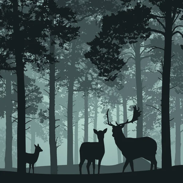 Tiefer Wald mit Rehen, Hirschen und Rehkitz — Stockvektor