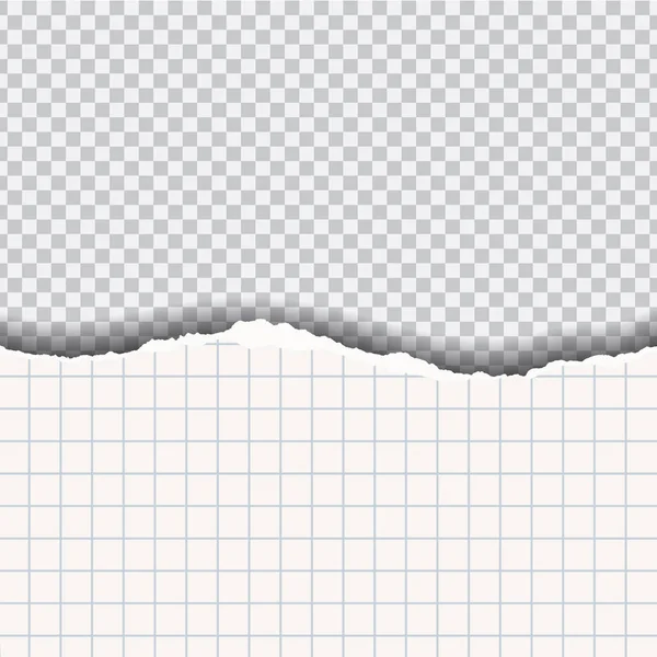 Разорванная квадратная бумага с тенью на прозрачном фоне — стоковый вектор