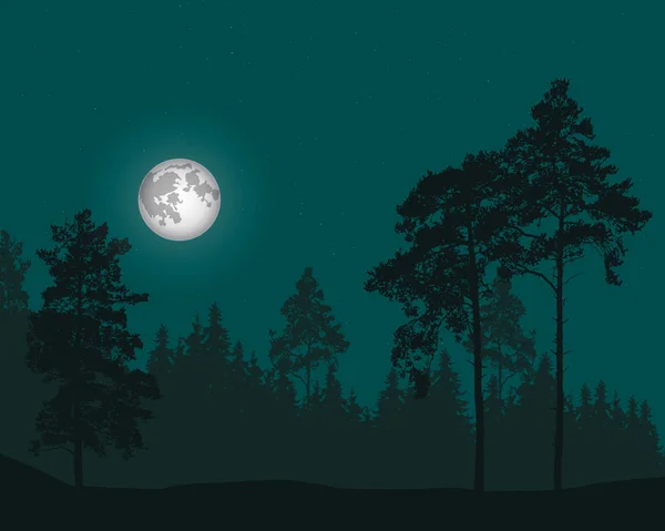 Illustrazione vettoriale della foresta di conifere sotto il cielo con stella — Vettoriale Stock