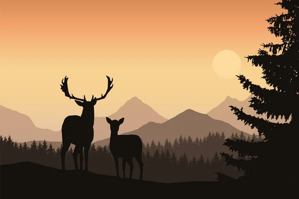 Cerfs et derrière dans un paysage montagneux avec forêt de conifères et arbres, sous le ciel du matin avec le soleil levant - vecteur — Image vectorielle