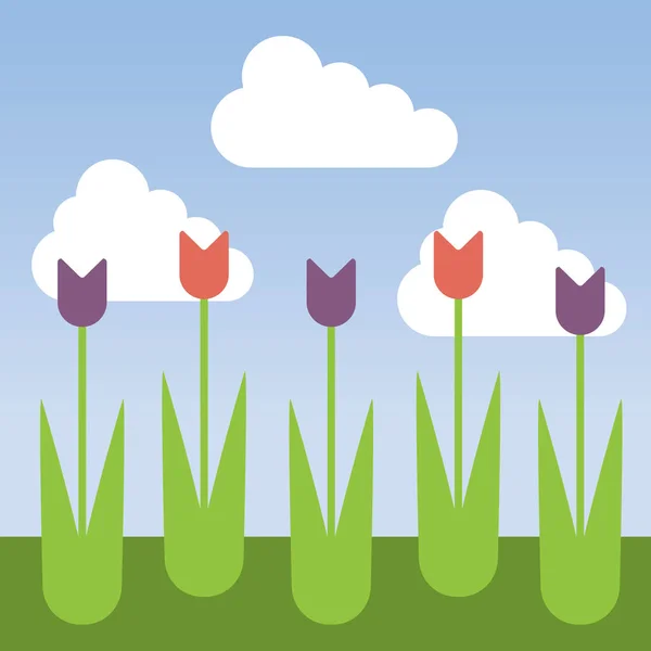 Blomma säng med tulpaner och gräs under blå himmel med moln - vektor platt design — Stock vektor