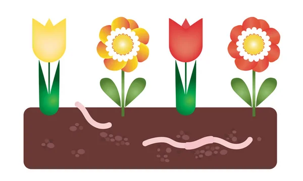 Blomma säng med jord och daggmask under marken - vektor, lämplig som ett kort för Trädgårdsskötsel och jordbruk — Stock vektor