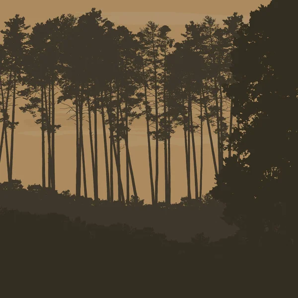 Vektor-Illustration von Nadelwald mit hohen Bäumen unter einem orangen Himmel mit Wolken - mit Platz für Ihren Text — Stockvektor
