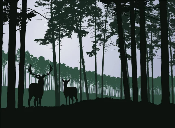 Hirsch und Reh in einem nadelgrünen Wald unter grauem Himmel - Vektor — Stockvektor