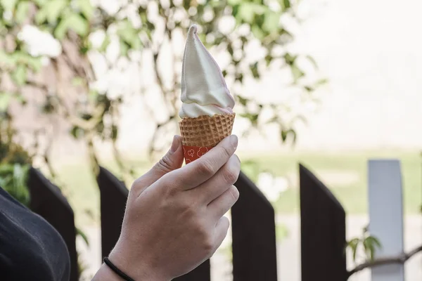 Female hand with ice cream in a cornet with a tree and a fence in the background