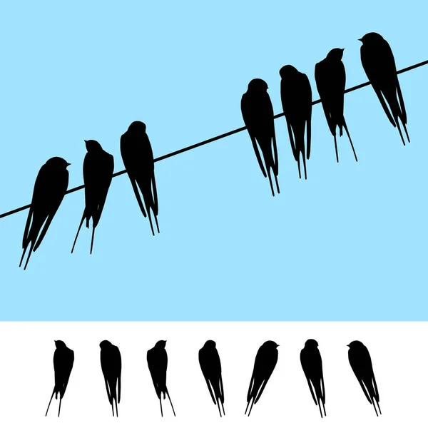 Set of realistic vector silhouettes of sitting swallows — Stock Vector