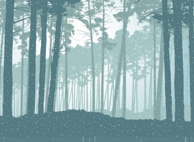 Düşen kar ile iğne yapraklı orman vektör çizim