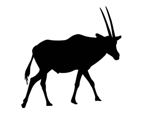 Reális illusztrációja sziluettek gazella vagy antilop. Horned oryx álló - vektor — Stock Vector