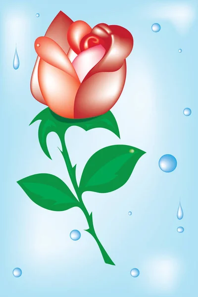 La Rosa sobre fondo azul con lluvia de gota.Vector — Archivo Imágenes Vectoriales