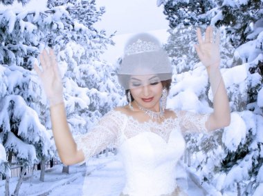 Kış zemin üzerine gelin