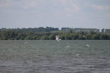 Küçük kasaba Gölü