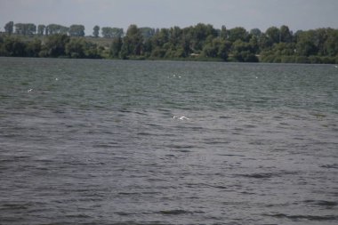 Küçük kasaba Gölü