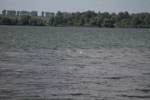 Küçük kasaba Gölü