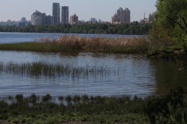 Banka Nehirinde soliter