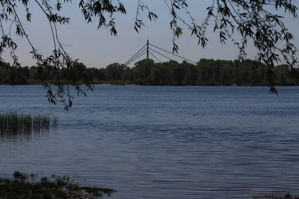 Solitario en la orilla del río — Foto de Stock