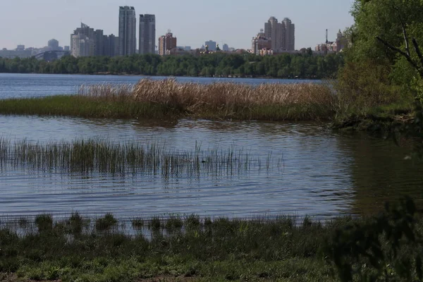 Banka Nehirinde soliter