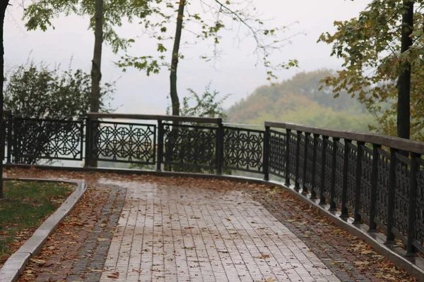 Sonbahar Park yağmur