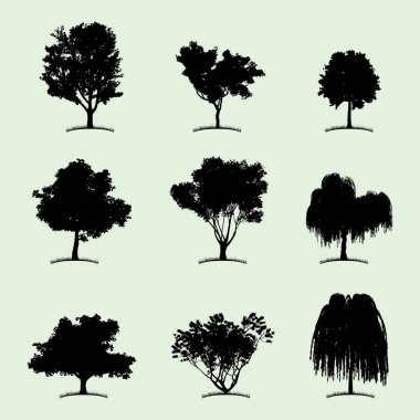Ağaç koleksiyonu düz simgesi