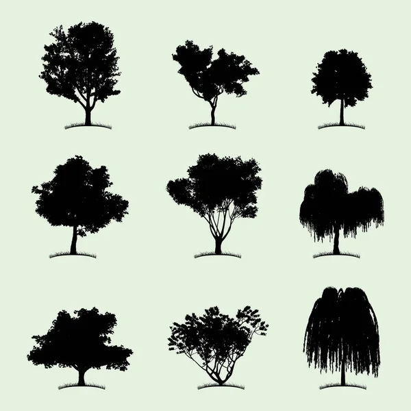 Tree Collection Flat Icon Vector Graphics