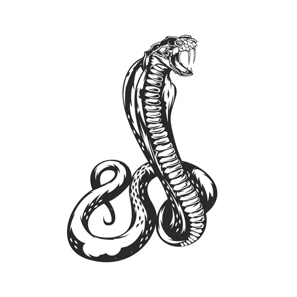 Ilustração da cobra — Vetor de Stock
