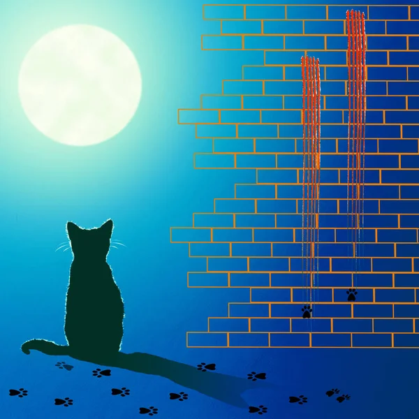 Одинокая кошка под лунным светом — стоковое фото