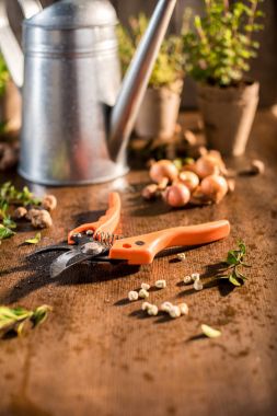 garden pruner on wooden table  clipart