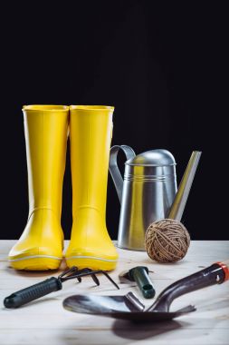 Rubber boots and garden tools  clipart