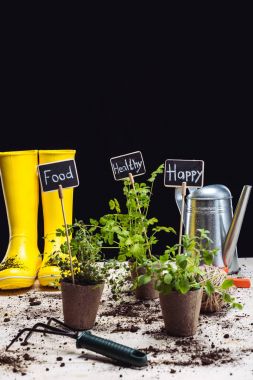 Rubber boots and garden tools  clipart