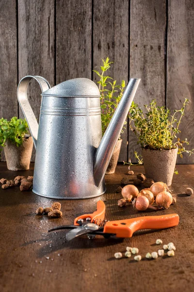 Gartenschere auf Holztisch — Stockfoto