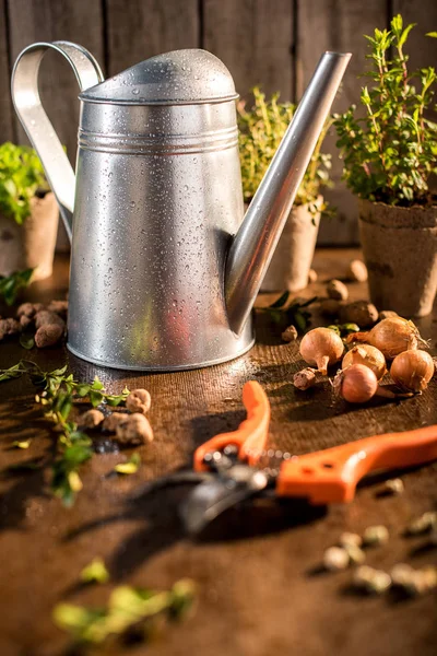 Watering can and different herbs — Stock Photo, Image