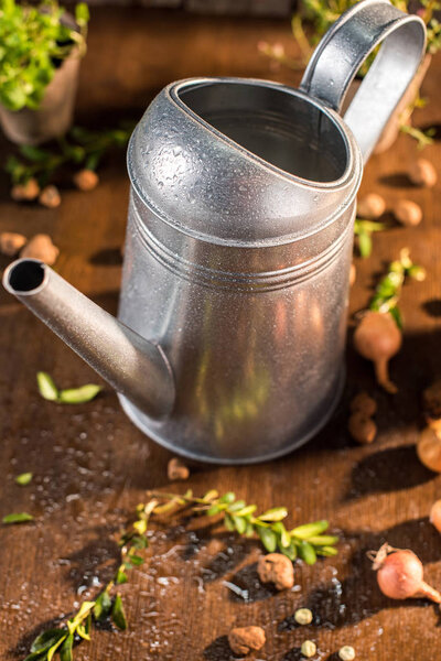 wet watering can