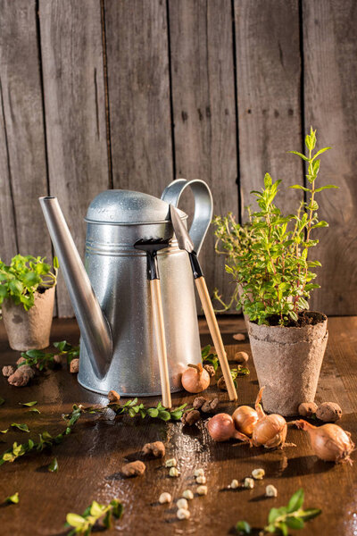 watering can and garden tools 