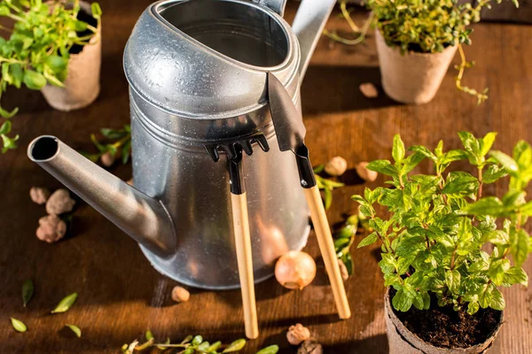 Watering can and garden tools — Stock Photo, Image