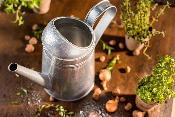 Watering can and herbs — Stock Photo, Image