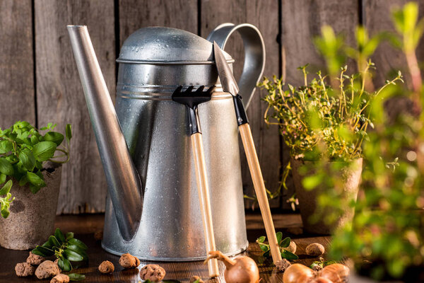 watering can and garden tools 