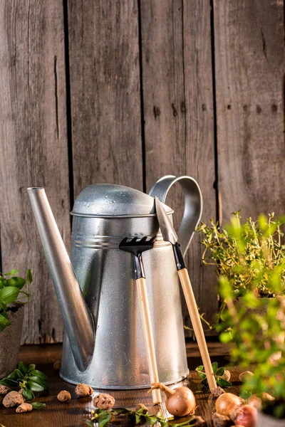 Watering can and garden tools — Stock Photo, Image