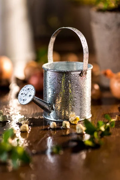 Little watering can — Free Stock Photo