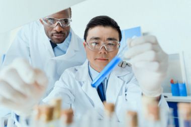 Laboratuvarda çalışan bilim adamları 
