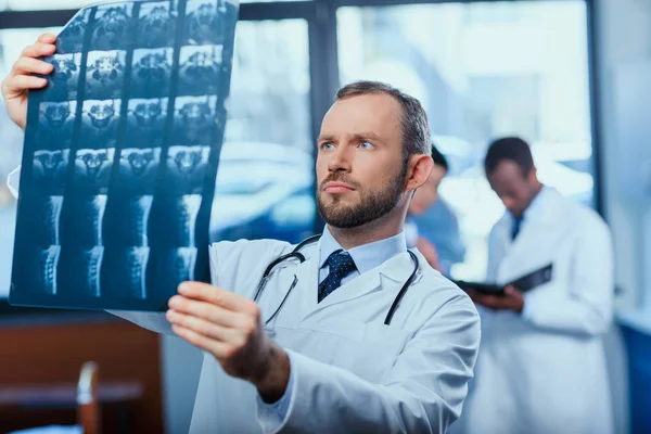 Doctor analyzing x-ray picture — Stock Photo, Image