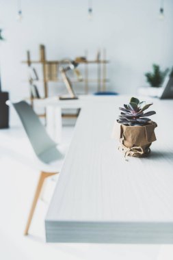 Masa üzerinde sulu pot