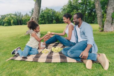 Afro-Amerikan aile piknik