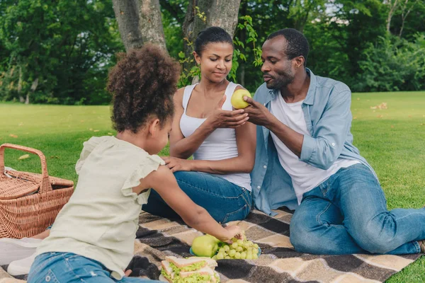 African american family at picnic — Stock Photo, Image