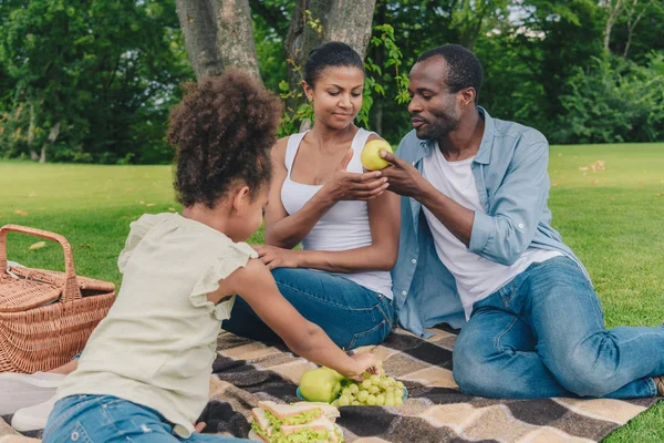 Família afro-americana no piquenique — Fotografia de Stock