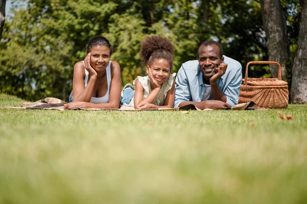 Африканская американская семья устраивает пикник — стоковое фото