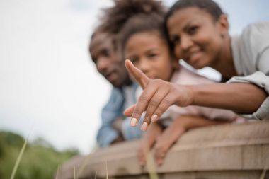 Afro-Amerikan aile parkı