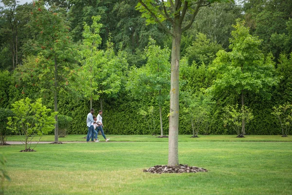 African American familj promenader i parken — Stockfoto