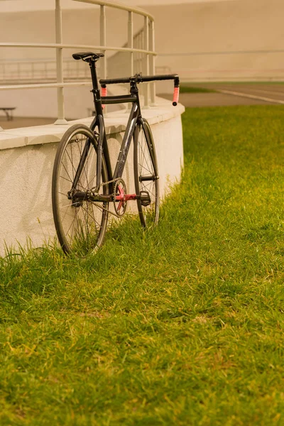 Bicycle on green grass — Free Stock Photo