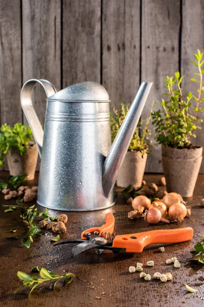 Podadora de jardín sobre mesa de madera — Stock Photo